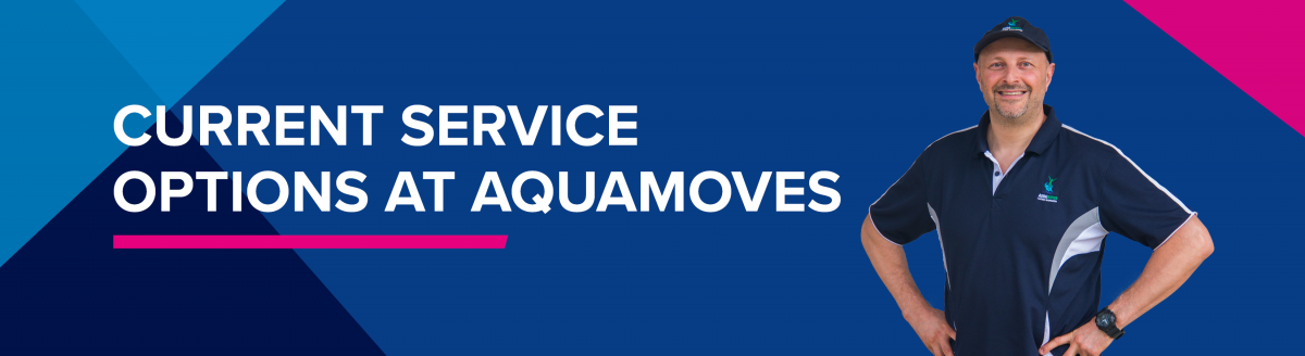 current service options