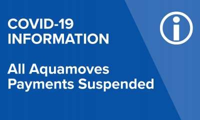 All Aquamoves payments suspended indefinitely
